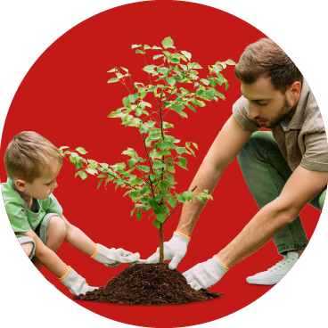 Um senhor e uma criança a plantar uma árvore