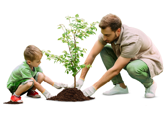 Um senhor e uma criança a plantar uma árvore