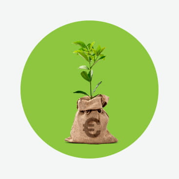 planta dentro de saco com símbolo do euro