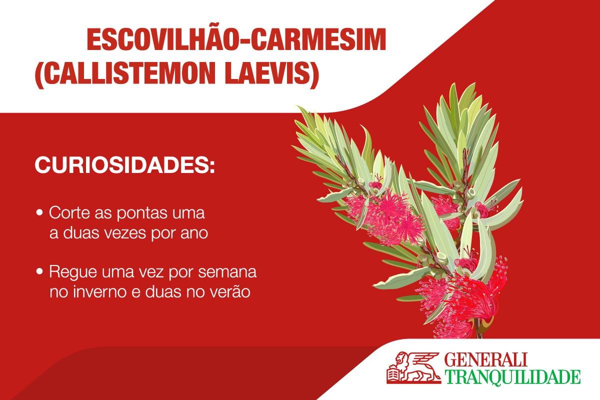Infografia de planta Escovilhão-Carmesim