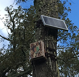 tranquilidade-patrocina-projeto-inovador-smartforest