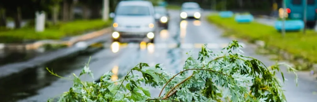 Um carro branco de faróis acesos passa por uma estrada com árvores caídas devido a ventos fortes.