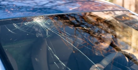 Rapariga jovem, com expressão de surpresa, dentro de um carro com o vidro para-brisas partido. Rapariga jovem, com expressão de surpresa, dentro de um carro com o vidro para-brisas partido.